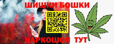 МДПВ Новодвинск
