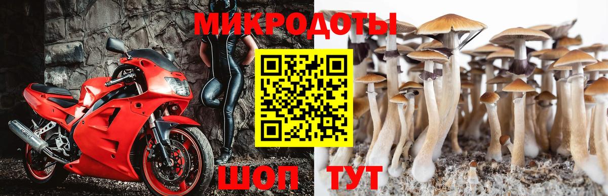 Галлюциногенные грибы мухоморы  Вход с VPN  Сухой Лог  Псилоцибиновые грибы Psilocybine cubensis 